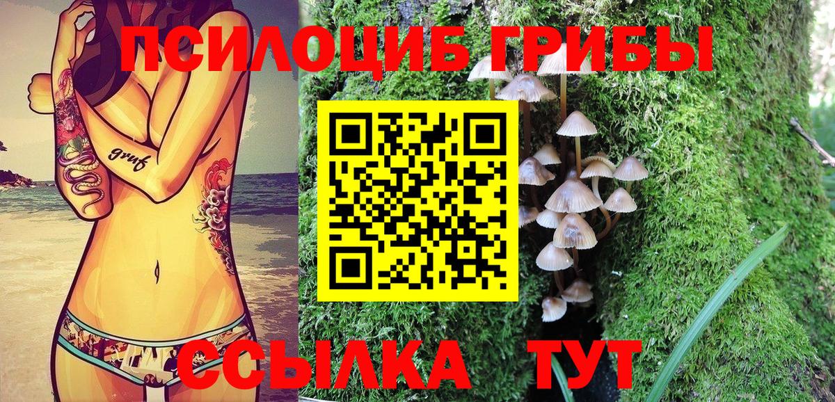 Псилоцибиновые грибы прущие грибы  Псилоцибиновые грибы GOLDEN TEACHER  Жигулёвск  Вход с VPN 