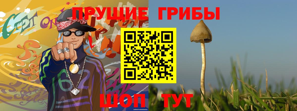 Галлюциногенные грибы мухоморы Жигулёвск
